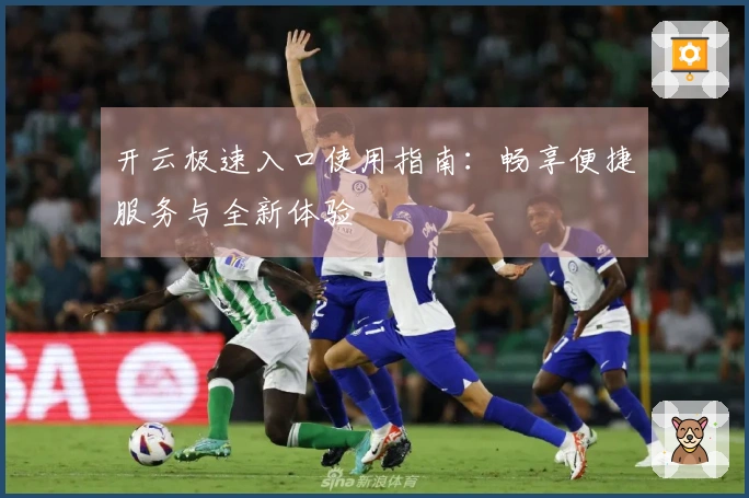 开云极速入口使用指南：畅享便捷服务与全新体验