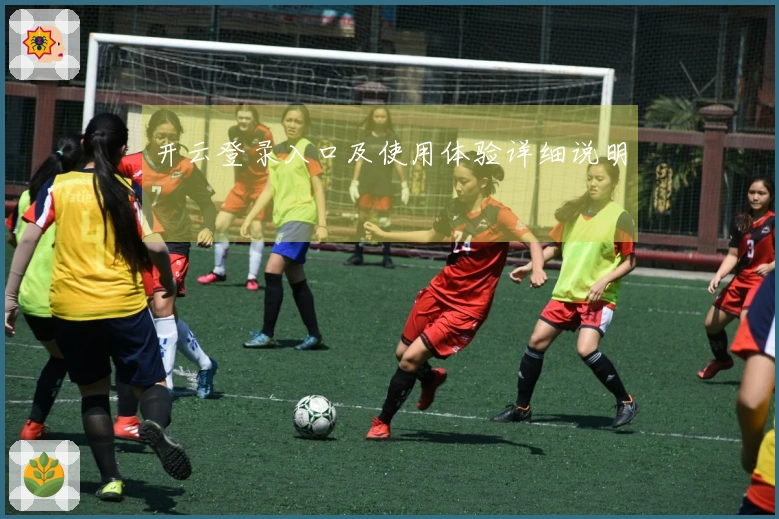 开云登录入口及使用体验详细说明