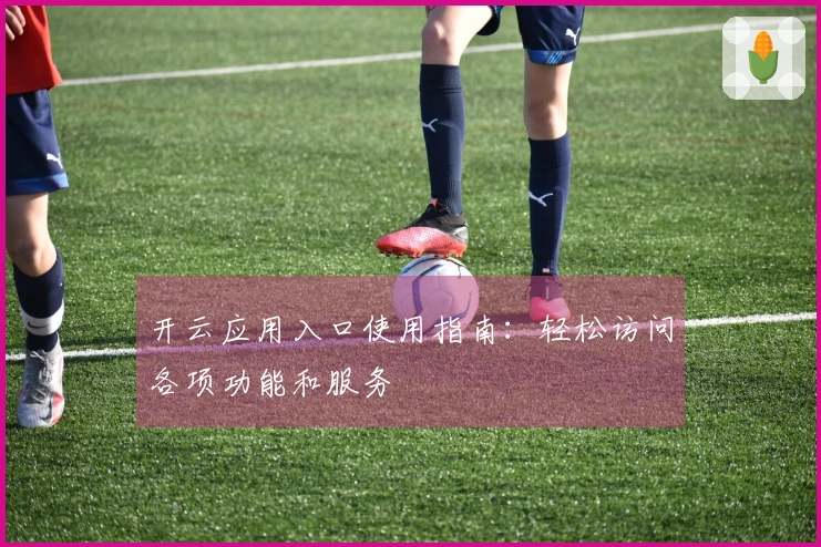 开云应用入口使用指南：轻松访问各项功能和服务
