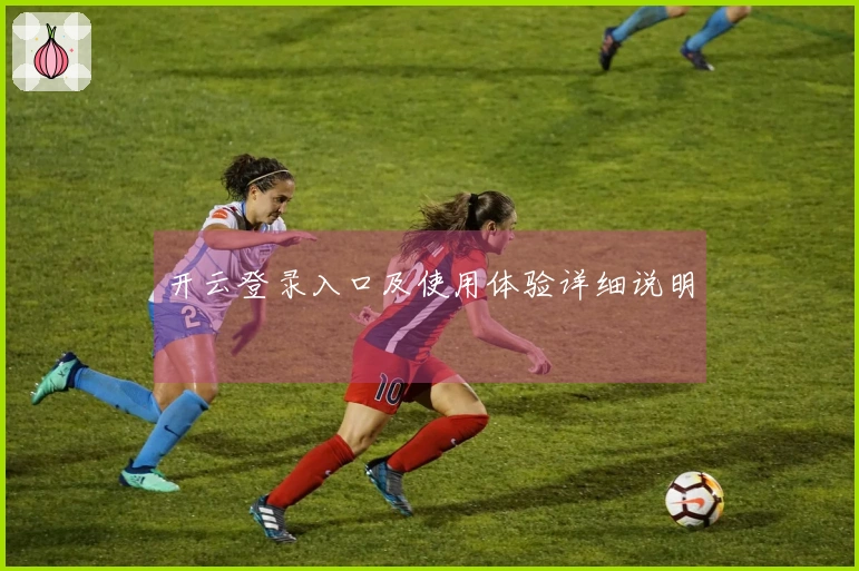 开云登录入口及使用体验详细说明