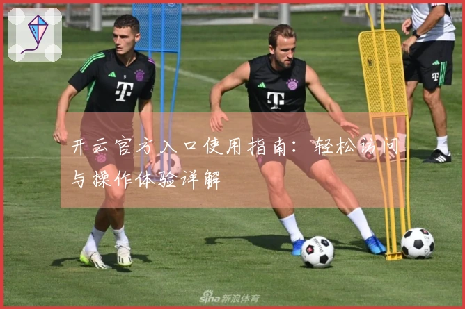 开云官方入口使用指南：轻松访问与操作体验详解